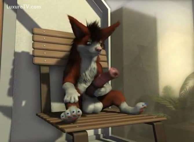 Video: Horny dog jacking off its dick in dog porno